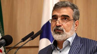 کمالوندی:  هدف دشمنان ضربه زدن به دانشمندان ایران است/ خبرهای خوبی درباره راکتور و رادیودارو داریم