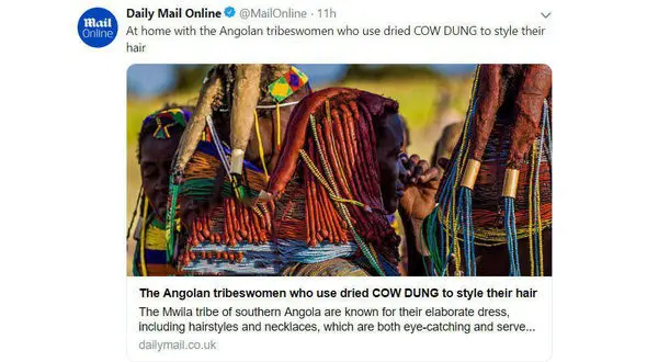 تزئین مو با پهن خشک شده گاو+عکس