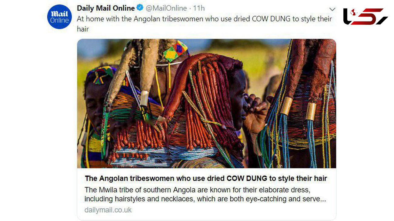 تزئین مو با پهن خشک شده گاو+عکس