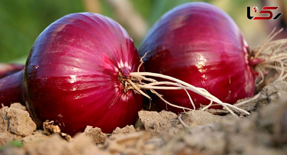 این ماده غذایی اشک آور پیری را به تعویق می اندازد