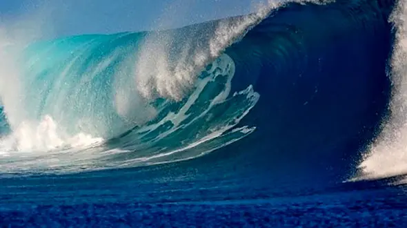 چینی ها در هر دریا و اقیانوسی ماهی ببینند صید می کنند