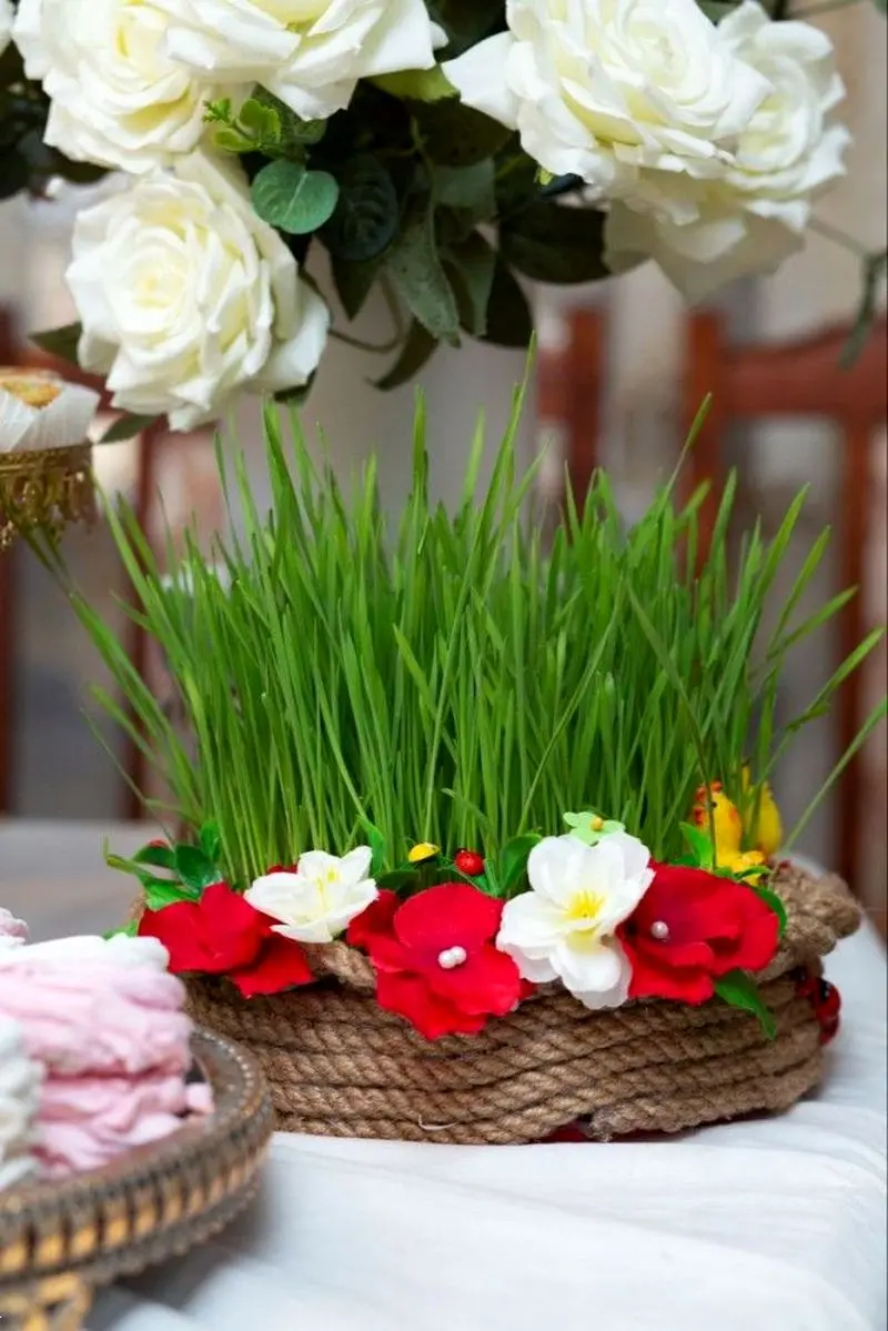 مدل سبزه عید ۱۴۰۵ | بهترین ایده های خلاقانه ساده و جذاب مدل سبزه عید ۱۴۰۵ مخصوص عروس هایی که میخوان سفره هفت سین شیکی داشته باشن!