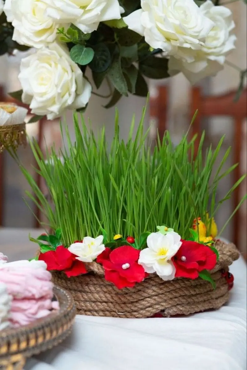 مدل سبزه عید ۱۴۰۵ | بهترین ایده های خلاقانه ساده و جذاب مدل سبزه عید ۱۴۰۵ مخصوص عروس هایی که میخوان سفره هفت سین شیکی داشته باشن!