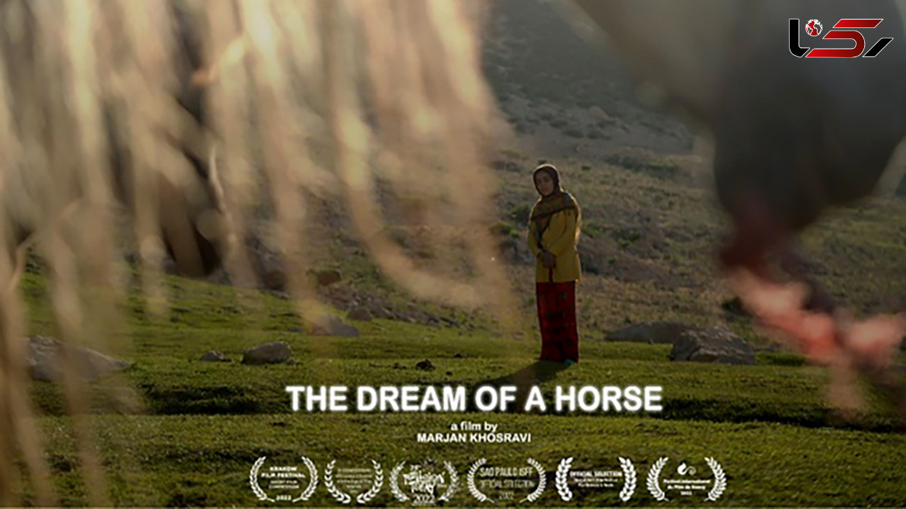 حضور مستند «رویای یک اسب» در 5 جشنواره جهانی