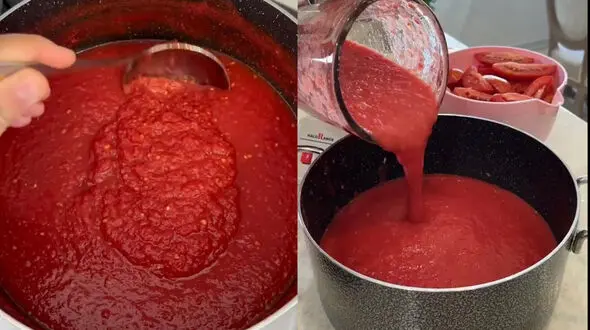 طرز تهیه رب خانگی + فیلم 