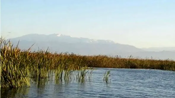 مرگ وحشتناک پسر 18 ساله جلوی چشمان دوستانش