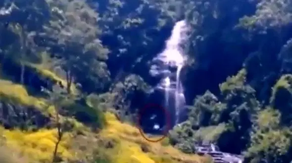 دیده شدن یک پاگنده در اندونزی + فیلم