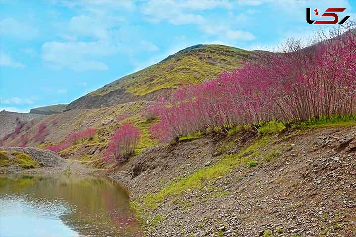 کام دشت‌های خراسان رضوی هر روز خشک‌تر می شود