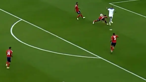 گل های زیبا که نامزد پوشکاش شدند