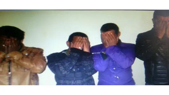 این ۴جوان متهم پرونده ۲۵سرقت در کاشمر هستند+ عکس