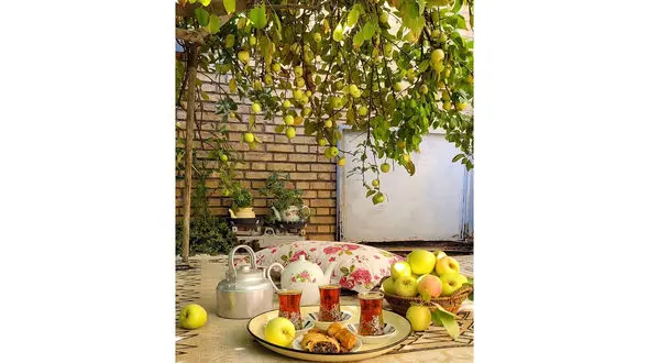 فال روزانه شخصی/ 30 شهریور + فیلم