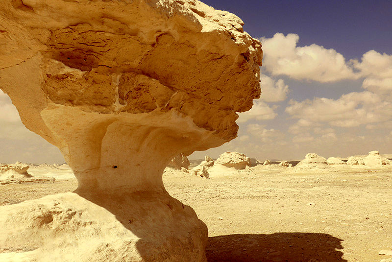 بیابانی در مصر