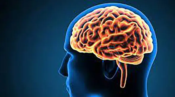 اعضای بدن که درد را حس نمی‌کنند