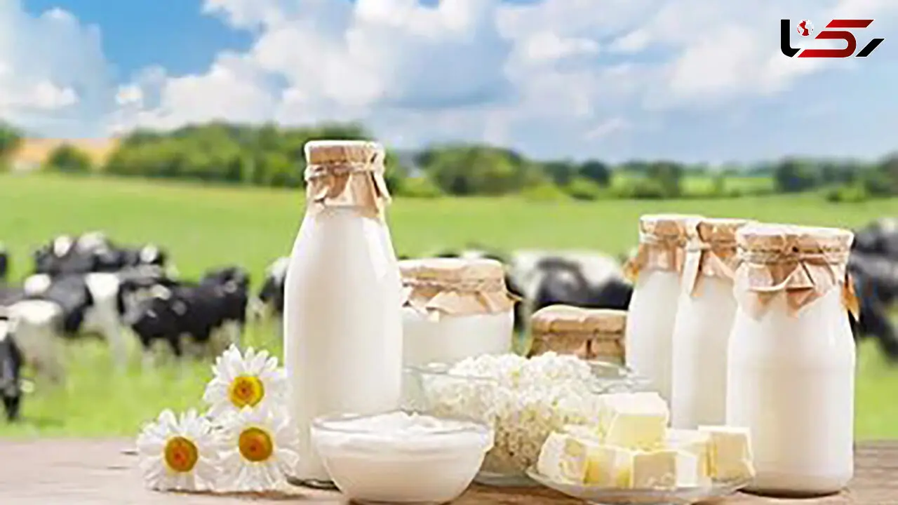 شیر بخوریم چاق می شویم یا لاغر؟
