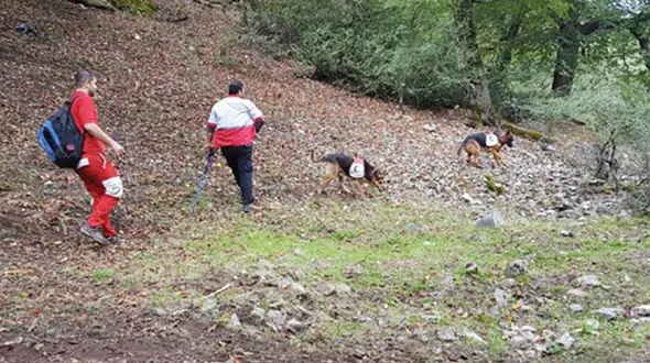  ناپدید شدن مرموز 2 کوهنورد در توسکستان گلستان /3 روز از جستجو گذشت 