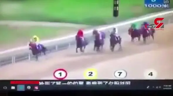 حادثه در عجیب ترین مسابقه اسب سواری در تاریخ + فیلم
