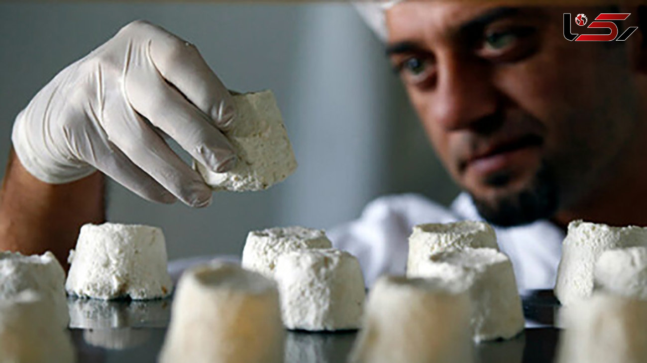گران ترین پنیرهای جهان چه شکلی هستند؟ + عکس