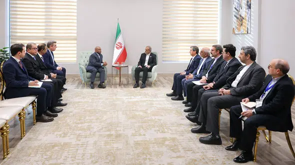 مسعود پزشکیان با دبیرکل سازمان D8 در مصر دیدار کرد