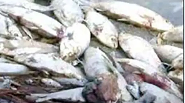 وحشت مردم بعد از دیدن این رودخانه هولناک + عکس