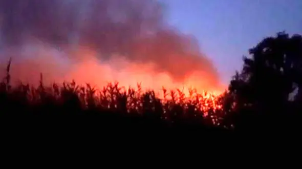 مهار آتش سوزی در تالاب بین‌المللی انزلی