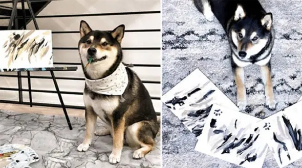 نقاشی‌های این سگ صاحبش را پولدار کرد + فیلم 