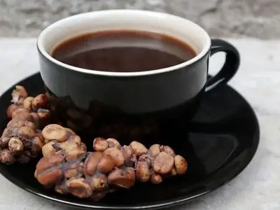 گران‌ ترین قهوه جهان، هدیه‌ ای از دل طبیعت و مدفوع یک پستاندار!