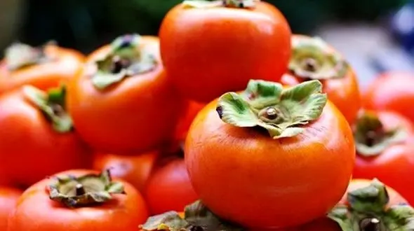 درمان مشکلات کبدی با میوه زمستانی/ خرمالو درمان کبد چرب