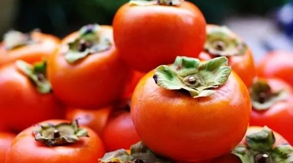درمان مشکلات کبدی با میوه زمستانی/ خرمالو درمان کبد چرب