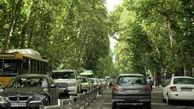 به زودی خیابان ولیعصر تهران ثبت جهانی می شود
