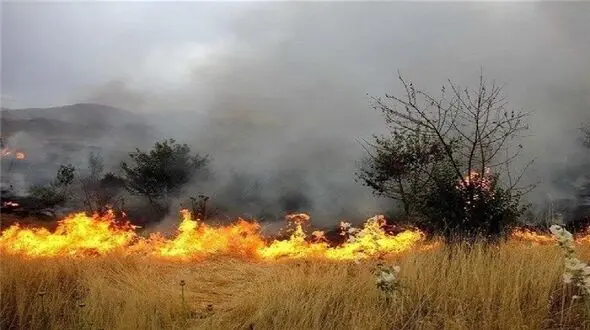  مراتع و جنگل‌های لرستان در آتش/ حریق ویسیان مهار شد؛ معمولان آتش گرفت