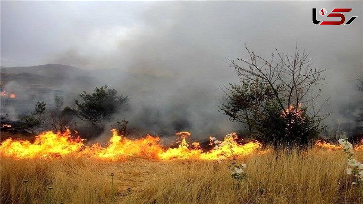  مراتع و جنگل‌های لرستان در آتش/ حریق ویسیان مهار شد؛ معمولان آتش گرفت