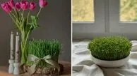 ایده های زیبا و خلاقانه برای مدل سبزه عید 1405 مخصوص سفره هفت سین