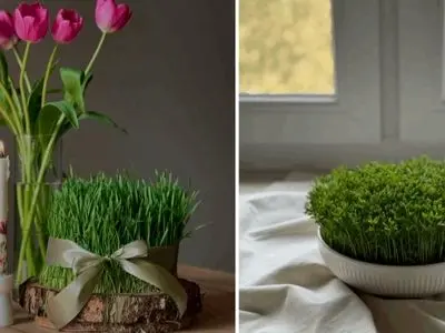 ایده های زیبا و خلاقانه برای مدل سبزه عید 1405 مخصوص سفره هفت سین