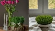 ایده های زیبا و خلاقانه برای مدل سبزه عید 1405 مخصوص سفره هفت سین