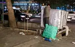 زباله گردها مجددا دارند باز می گردند / با این محفظه های پسماند فعلی زباله ها قابل مدیریت نیست