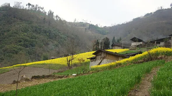 اروپایی های که در این روستای ایران زرگری حرف می زنند / باورنکردنی، لاتین  می نویسند!
