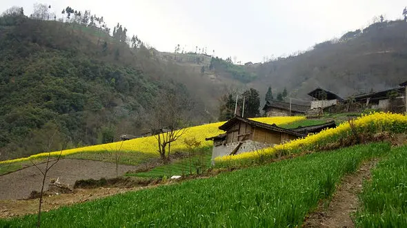اروپایی های که در این روستای ایران زرگری حرف می زنند / باورنکردنی، لاتین  می نویسند!