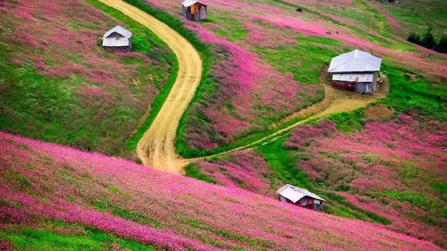 فیلم از سلانسر چشم نواز رودبار