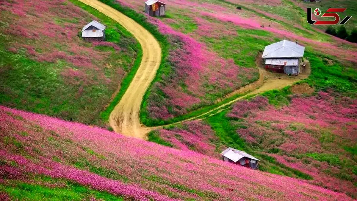 فیلم از سلانسر چشم نواز رودبار 