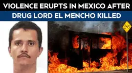 فیلم / فرودگاه مکزیک میزبان جام جهانی تسخیر شد / جولان کارتل های مواد مخدر و فرار توریست ها