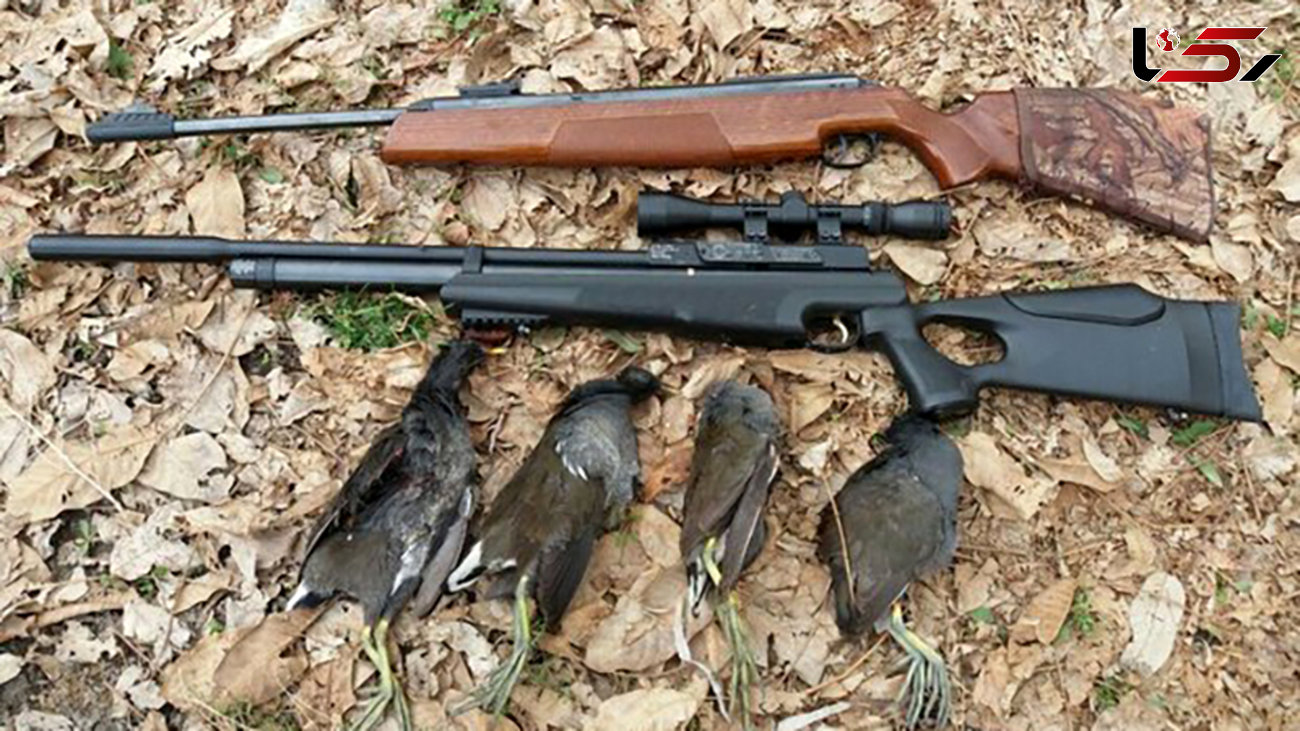 دستگیری 46 شکارچی در مازندران 