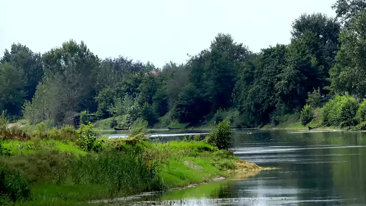 بوجاق کیاشهر؛ بهشت پرندگان مهاجر در شمال ایران