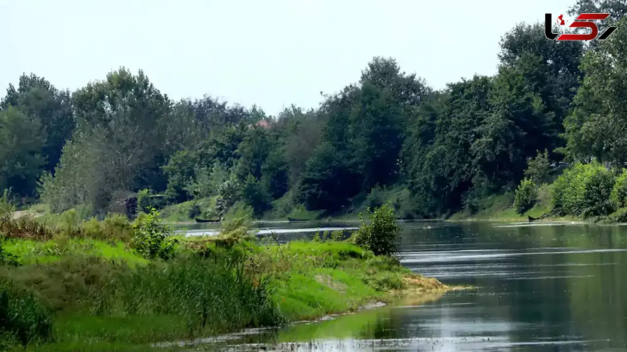 بوجاق کیاشهر؛ بهشت پرندگان مهاجر در شمال ایران + فیلم