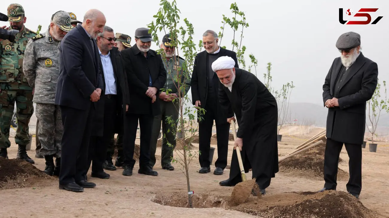 محسنی اژه‌ای: موانع قضایی و حقوقی گسترش فضای سبز شهری را اطلاع دهید