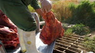 معدوم سازی 700 کیلوگرم گوشت فاسد در نیشابور