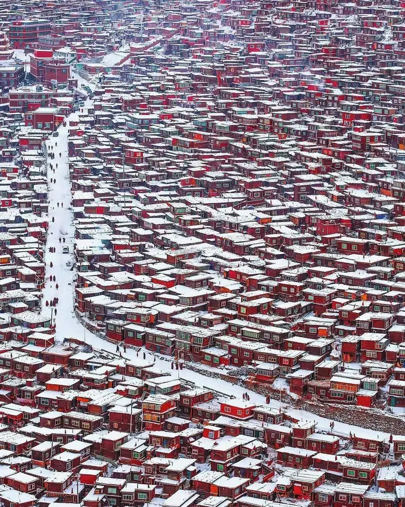 اقامتگاه بودایی