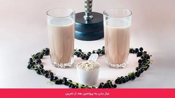 راز ریکاوری سریع‌ عضلات / انواع پروتئین‌ زودجذب برای بعد تمرین