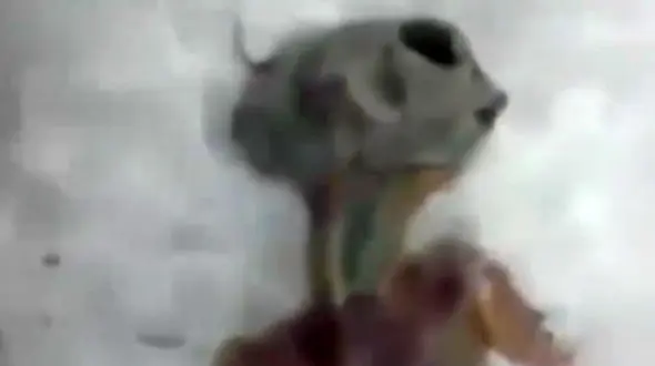 کشف موجود فضایی یخ زده در سیبری + فیلم باورنکردنی 