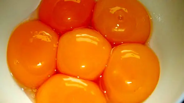 از زرده تخم مرغ بفهمید