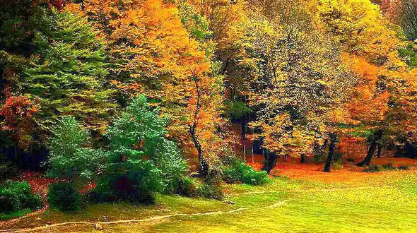 زیبایی های چشم نواز استان گیلان